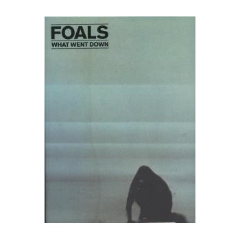 FOALS: WHAT WENT DOWN LP