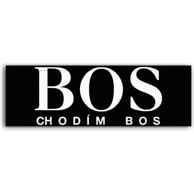 Fotoobraz 150x55 cm panorama Bos