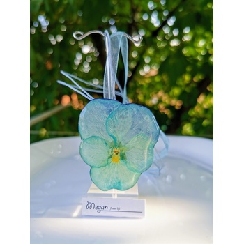 Meganflo Теменужка в бяло и тюркоаз