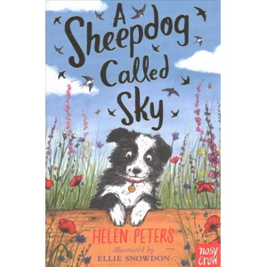 Sheepdog Called Sky | Helen Peters (ISBN: 9780857639110)