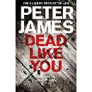 Dead Like You - Peter James