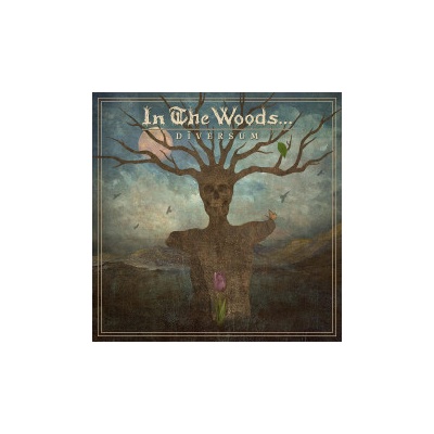 In The Woods - Diversum CD