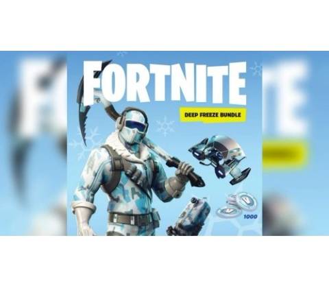 Fortnite: Deep Freeze Bundle