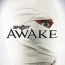 Awake - Skillet CD