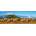 Nathan - Puzzle Herd Of Elephants panorama - 500 piese