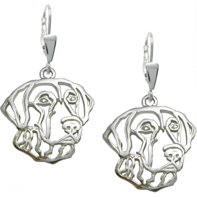 Stříbrné tlapky Chesapeake Bay Retriever II. 637