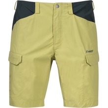 Pánske šortky Bergans Utne shorts green