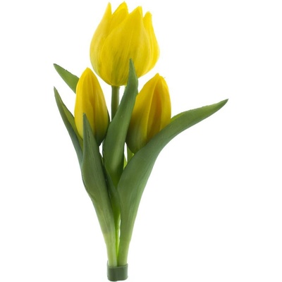 Tulipán x3 Sally' svazek zlutý V16 cm