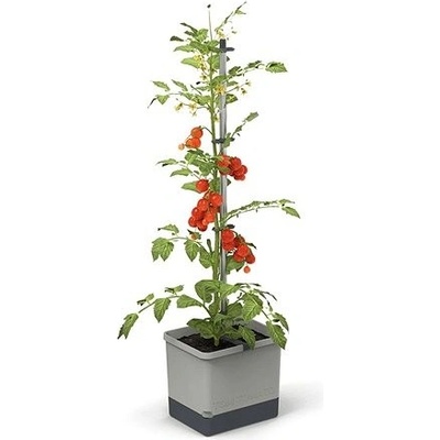 Gusta Garden GG-100610