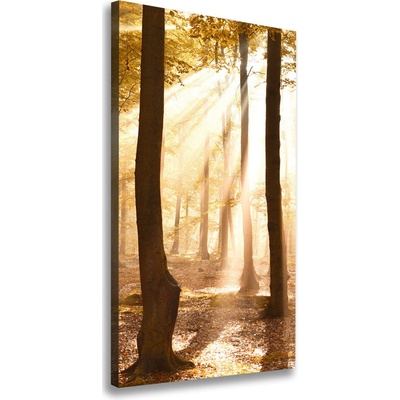 Vertikálny foto obraz canvas Les na jeseň 50x100 cm