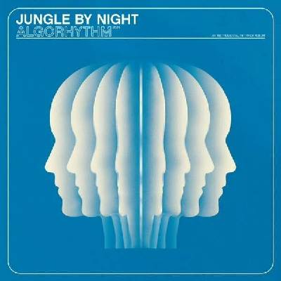 JUNGLE BY NIGHT - ALGORHYTHM LP
