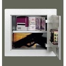 T-Safe SS1-M