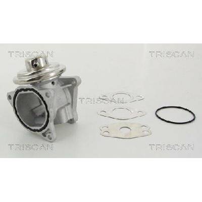 AGR-Ventil TRISCAN 8813 29111 (881329111)