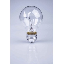 TECHLAMP Klasická stmievateľná žiarovka E27, 25W, 225lm