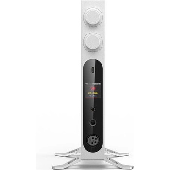 FiiO K19