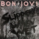 BON JOVI: SLIPPERY WHEN WET CD