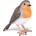 Papo Фигурка Papo Wild Animal Kingdom - Червеношийка (50275)