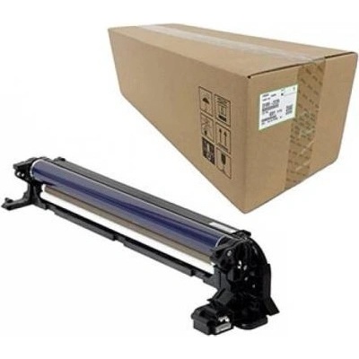 Ricoh D1862239/D1862209 - originálny
