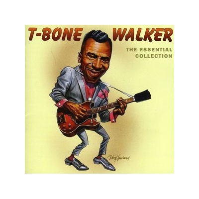 Walker T-Bone - Essential T-Bone Walker CD – Hledejceny.cz