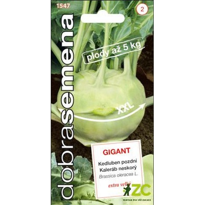 dobrasemena Kedluben bílý 'Gigant' 0,8 g