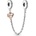 Pandora 789541C01