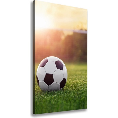 Vertikálny foto obraz na plátne do obývačky Futbal 50x100 cm