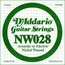 D'Addario NW 028
