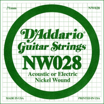 D'Addario NW 028