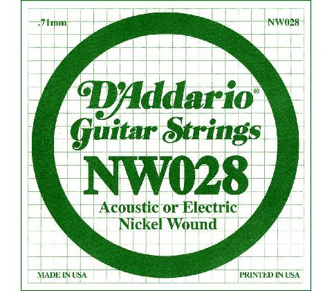 D'Addario NW 028