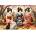 Cherry Pazzi - Puzzle Springtime Tea - 1 000 piese