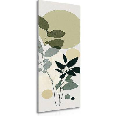 Obraz boho rostlinky ve stylovém provedení - 45x135