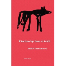 Všechno bychom si řekli - Judith Hermann