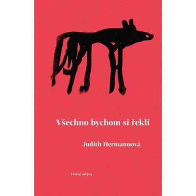 Všechno bychom si řekli - Judith Hermann