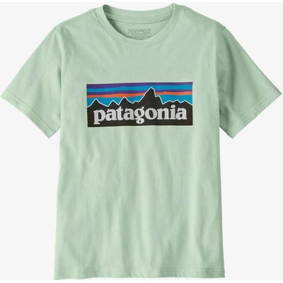 Patagonia P-6 Logo Thin Ice
