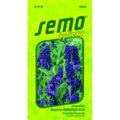 Semo Levandule lékařská - Munstead blue 0,4g