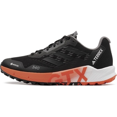 Adidas Terrex Agravic Flow 2 Gore-Tex