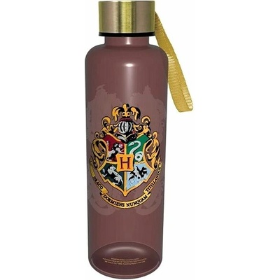 Pyramid International Harry Potter Rokfortské koľaje 500ml