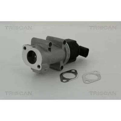TRISCAN AGR ventil TRI 8813 10005