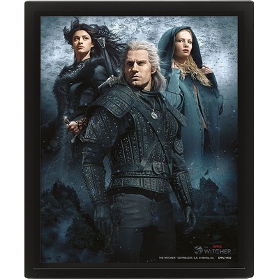 Zaklínač : The Witcher 2 - 3D Obraz s rámem 3D Obraz (s rámem)
