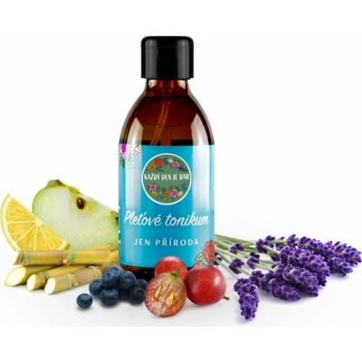 Každý den je dar Pleťové tonikum 200 ml