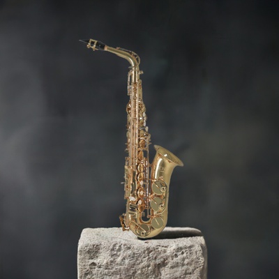 Conn Eb-Alto Saxophone AS650