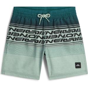 O'Neill Детски бански слипове O'neill Kid's Logo Stripe Swimshorts Swim brief - Boys Green Heritage O'neill - размер 164 (EU) (750-2904-0215)