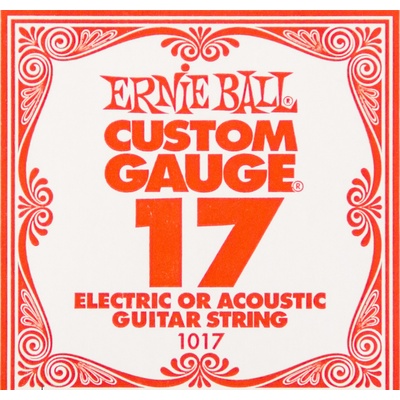 Ernie Ball 1017