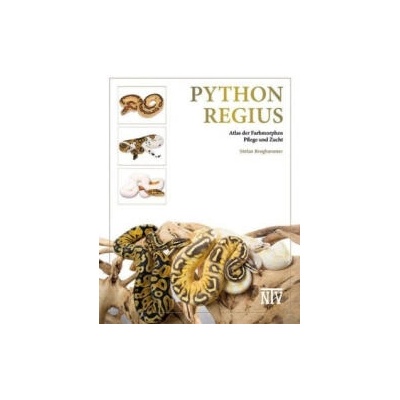 Python regius | Stefan Broghammer