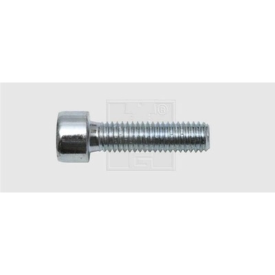 SWG 4009146067041 skrutky s vnútorným šesťhranom 10 mm 50 mm vnútorný šesťhran ocel pozinkované 50 ks