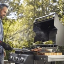 Weber Spirit E-315 GBS