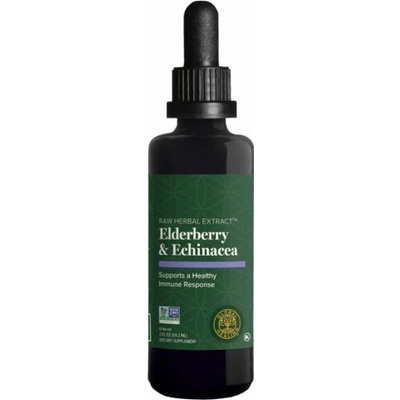 Global Healing RAW extrakt z echinacey a bazy čiernej 59,2 ml