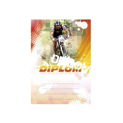 Diplom 6643