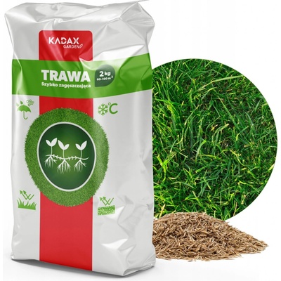 TRÁVA UNIVERZÁLNÍ ZAHUŠŤOVACÍ 2KG 80m2