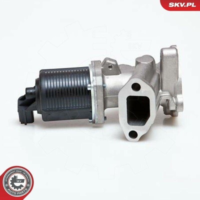 AGR-Ventil ESEN SKV 14SKV014